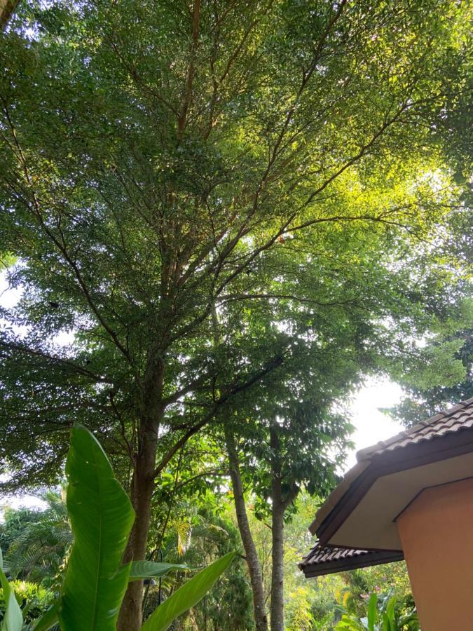 Khao Yai Cottage Mu Si Exterior foto